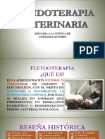 Fluidoterapia Veterinaria