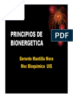 Bioenergética I PDF