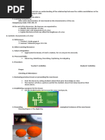 DLP Characteristics of Star