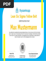 Lean Six Sigma Yellow Belt: Max Mustermann