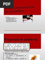 Programas Básicos de Auditoria