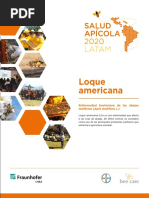 Folleto Loque Americana