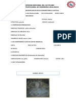 Cartilla de Sedimentarias Clasticas