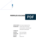 Informe de Perfiles Soldados