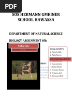 Sos Hermann Gmeiner School Hawassa: Department of Natural Science