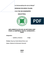 Plantilla de Implementación ERP