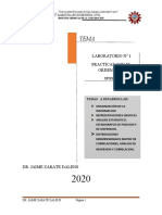 Primera Paractica Ordenador MAESTRIA GERENCIA 2020