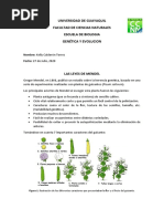 Leyes de Mendel y Experimentos