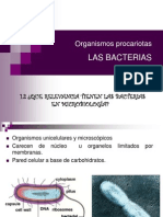 Bacterias