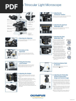 How To Use A Trinocular Light Microscope