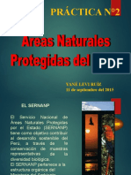 Practica 2-ANP DEL PERU