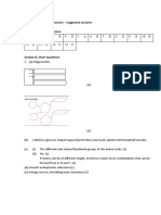 F.3 First Term Revision Exercise For Christmas ANS