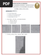 Desarrollo Del Trabajo N°1 de Algebra L PDF