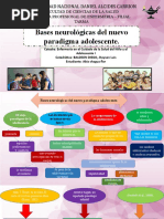 Bases Neurologicas