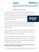 Ficha de Trabajo 2017 Semana 42 PDF