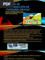 Manual de Organización de Papeleria Dragui