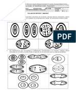 Taller de Mitosis y Meiosis