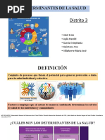 Determinantes de La Salud