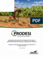 Diagnóstico Sectorial e Plano de Acção para A Agricultura e Produção Alimentar - v1.1 PDF