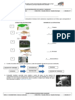 Taller 1 y 2 Ciencias