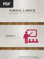 Normal Labour VIDEO + Module Final (5th June 2020)