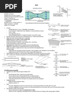 Pof PDF