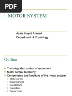 Motor System: Asma Hayati Ahmad Department of Physiology