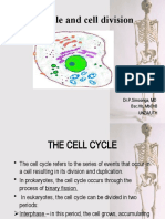 2-Cell Cycle and Cell Division