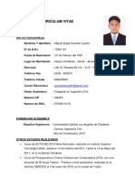 Curriculum Vitae - Jesus Pajuelo