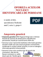 Electroforeza Acizilor Nucleici