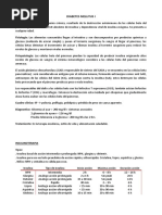 DIABETES MELLITUS I y II