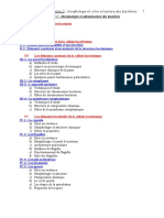 Morphologie Et Ultrastructure