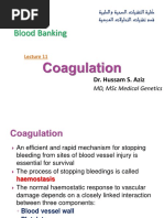 11 Coagulation PDF