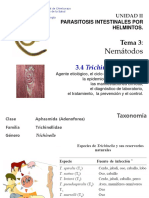 Tema 3 Helmintos Nemátodos 3.4 Trichinella Spiralis