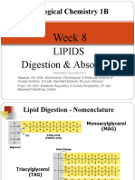 Lipids Digestion and Absorption