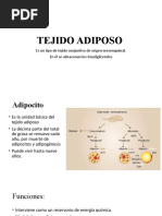 Tejido Adiposo