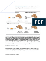 Condicionamiento Clasico y Operante