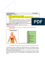 Actividad 4 P 2 Séptimo Digestión en El Hombre