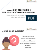 Prevencion de Suicidio en NNA y Ruta de Atencion en Salud Mental 2020.1