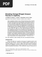 Breeding Orange-Winged Amazon Parrots in Captivity: J.R. Millam, B. Kenton, L. Jochim, T. Brownback, and A.T. Brice