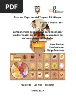 Catacion CACAO PDF