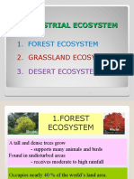 01c-Terrestial Ecosystem