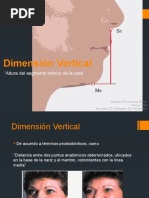 Dimensión Vertical