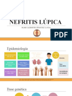 Nefritis Lupica