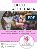 Apostila Cristalo 4.0 PDF