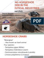 P43 Horseshoe Crab Blood Drnoraznawati