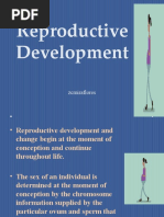 Reproductive Development