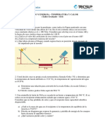 Taller - Eva - Trabajo y Energia - Teperatura y Calor - CBA - 2020