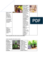 Cuadros Comparativos Comparar Las Caracteristicas de Los Extractos y Las Esencias