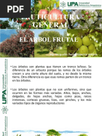 EL - ARBOL - FRUTAL Clase 3